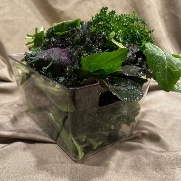 Liver Shield Green Drink Concentrate