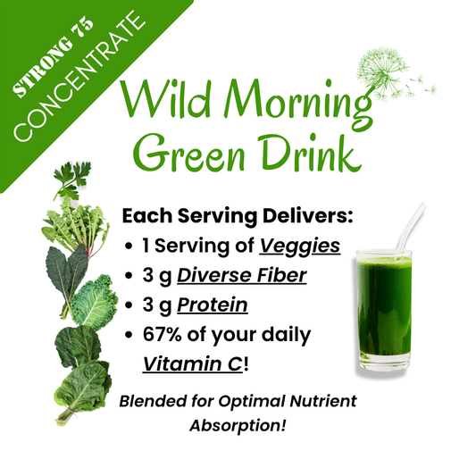 Wild Morning Green Drink Concentrate