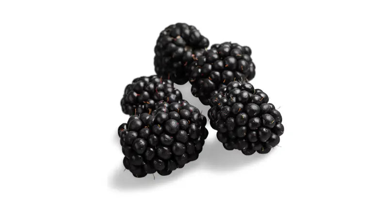 Blackberries: What They Actually Do in Your Body