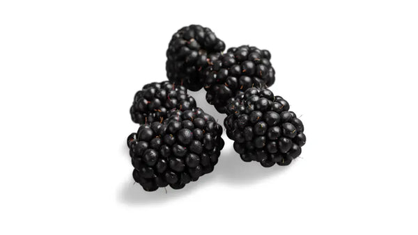 Blackberries: What They Actually Do in Your Body