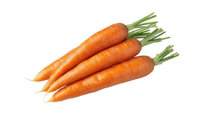 Carrots: What They Actually Do in Your Body