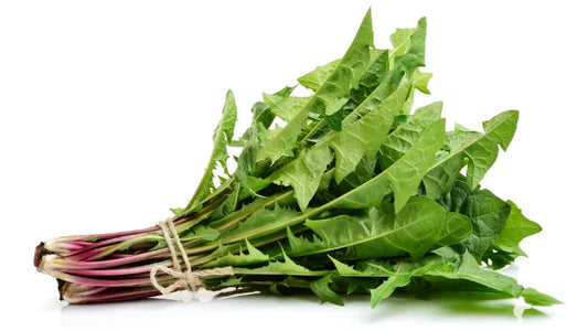 Dandelion Greens: What They Actually Do in Your Body