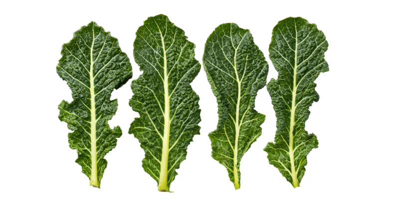 Green Chard: What It Actually Does in Your Body
