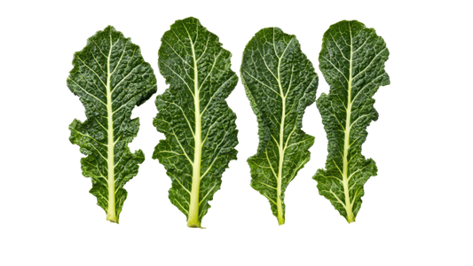 Green Chard: What It Actually Does in Your Body