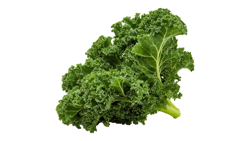 Curly Kale: What It Actually Does in Your Body