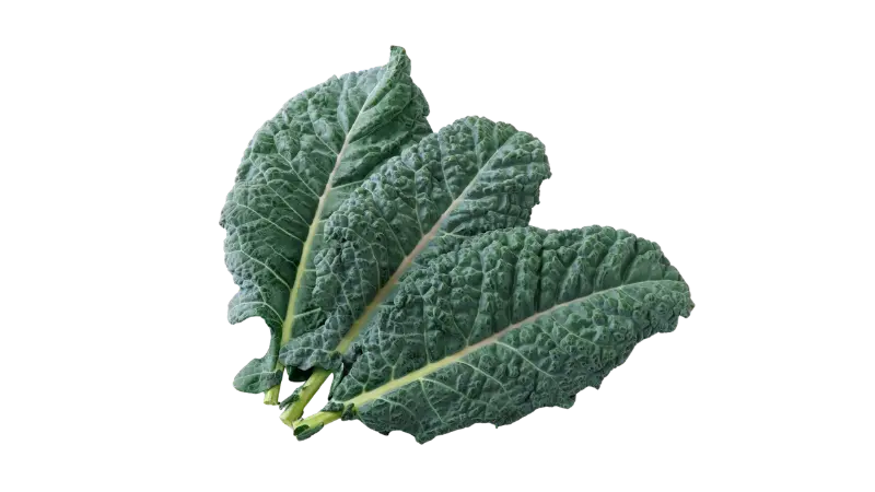 Dinosaur Kale: What It Actually Does in Your Body